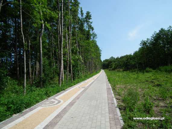 Fragment nadbrze�nej trasy rowerowej z Bagicza w kierunku Siano��t�w - okolice Bagicza - Ko�obrzeg, zdj�cia miast, galeria zdj��