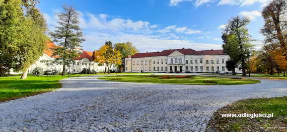 Dolnobrzeski Ośrodek Kultury - Brzeg Dolny