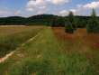 Okoliczne tereny - Biskupice k/Cz�stochowy