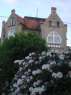 Kwitnący rododendron i budynek na rogu u - Paczków