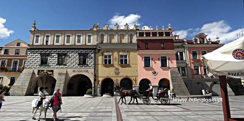 Muzeum na Tarnowskim rynku - Tarnów