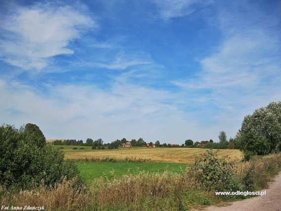 Pańska Wola mapa Polski, plan miasta, położenie, informacje o mieście