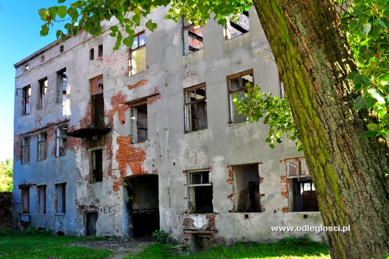 Wojska Polskiego 77 Piotrków Trybunalski Ul. Wojska Polskiego - Piotrków Trybunalski. Zdjęcie nr 44691 / 99377