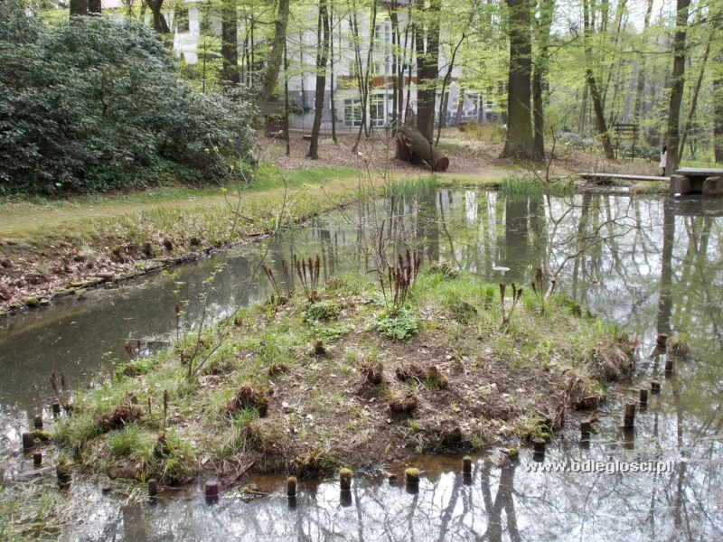 Arboretum Bramy Morawskiej - Racibórz