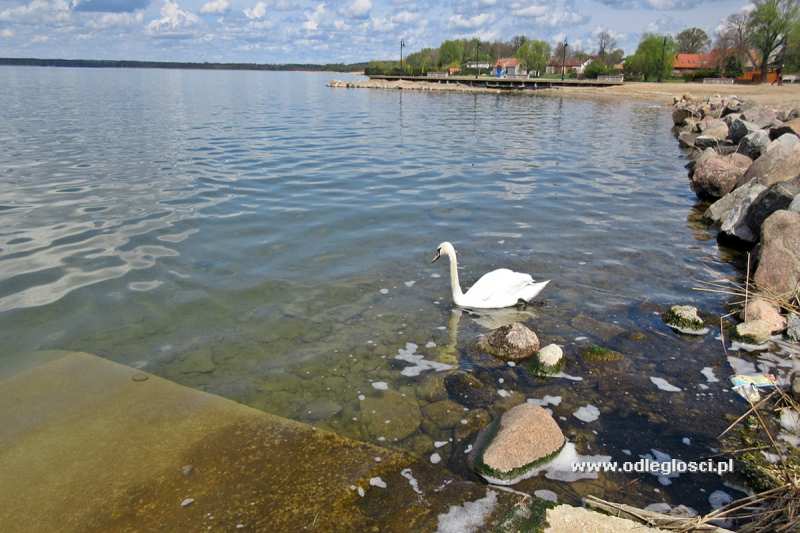 Jezioro Śniardwy - Nowe Guty